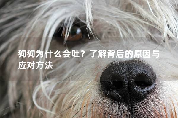 狗狗為什么會吐？了解背后的原因與應對方法