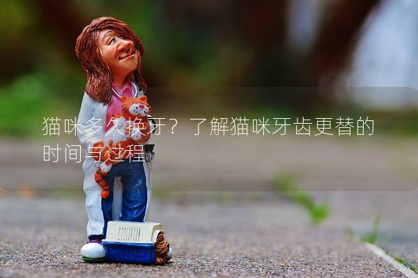 貓咪多久換牙？了解貓咪牙齒更替的時間與過程