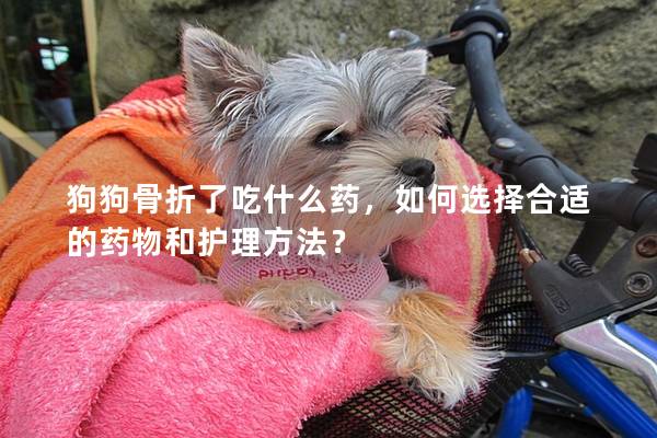 狗狗骨折了吃什么藥，如何選擇合適的藥物和護理方法？