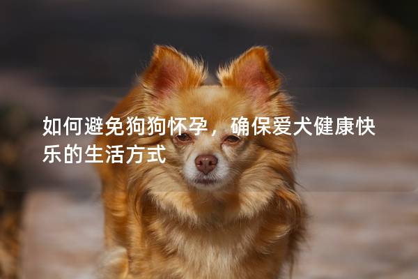 如何避免狗狗懷孕,確保愛犬健康快樂的生活方式 如何避免狗狗懷孕,確保愛犬健康快樂的生活方式