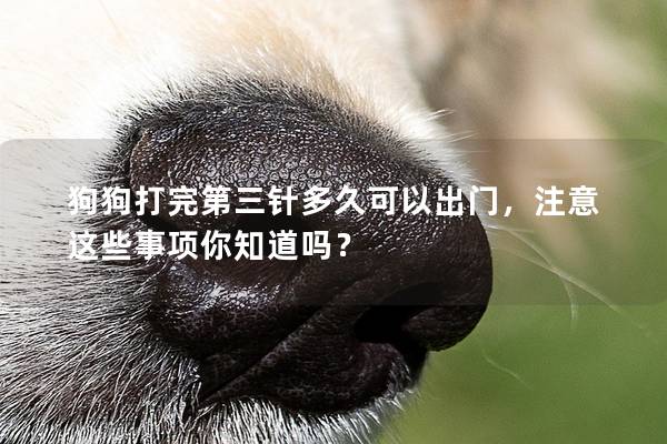 狗狗打完第三針多久可以出門,注意這些事項你知道嗎? 狗狗打完第三針多久可以出門,注意這些事項你知道嗎?