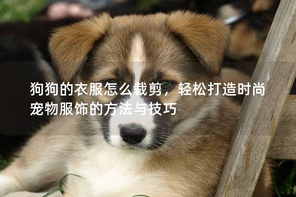 狗狗的衣服怎么裁剪，輕松打造時尚寵物服飾的方法與技巧