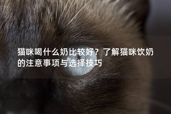 貓咪喝什么奶比較好？了解貓咪飲奶的注意事項與選擇技巧