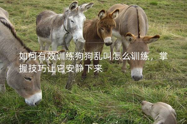 如何有效訓練狗狗亂叫怎么訓練，掌握技巧讓它安靜下來