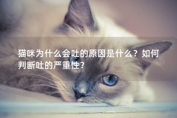 貓咪為什么會吐的原因是什么？如何判斷吐的嚴重性？