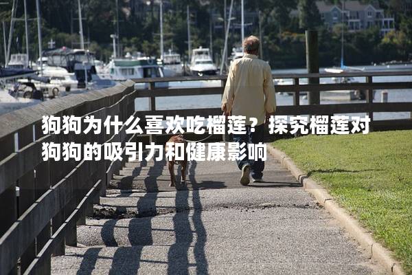 狗狗為什么喜歡吃榴蓮？探究榴蓮對狗狗的吸引力和健康影響