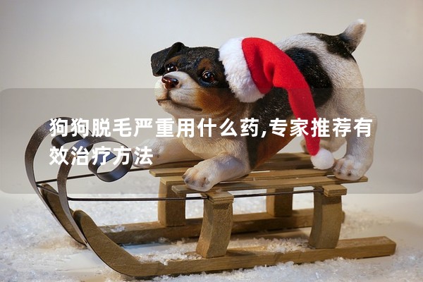 狗狗脫毛嚴(yán)重用什么藥,專家推薦有效治療方法 狗狗脫毛嚴(yán)重用什么藥,專家推薦有效治療方法