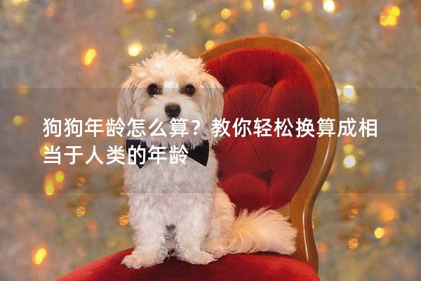 狗狗年齡怎么算?教你輕松換算成相當于人類的年齡 狗狗年齡怎么算?教你輕松換算成相當于人類的年齡