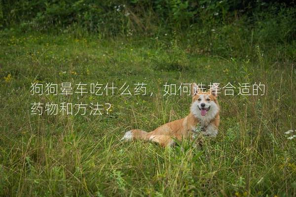 狗狗暈車吃什么藥，如何選擇合適的藥物和方法？