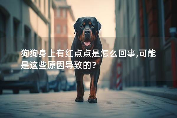 狗狗身上有紅點點是怎么回事,可能是這些原因導致的？