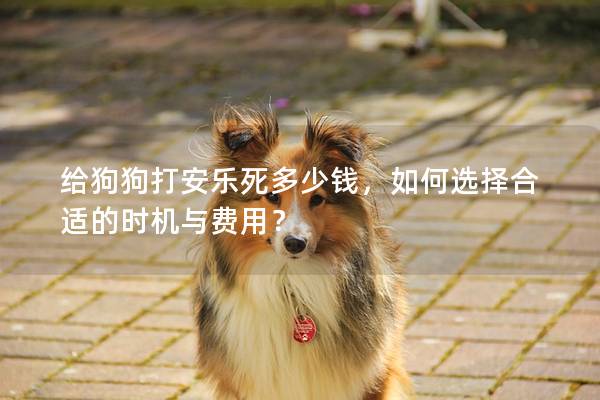 給狗狗打安樂死多少錢，如何選擇合適的時機與費用？