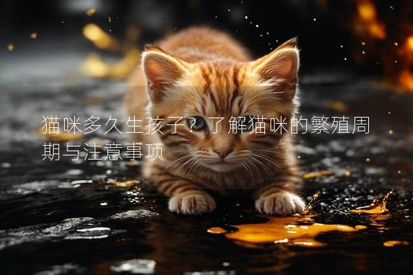 貓咪多久生孩子？了解貓咪的繁殖周期與注意事項