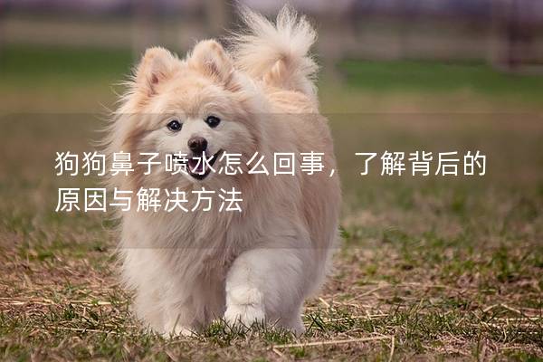 狗狗鼻子噴水怎么回事，了解背后的原因與解決方法