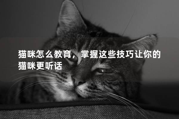 貓咪怎么教育，掌握這些技巧讓你的貓咪更聽(tīng)話