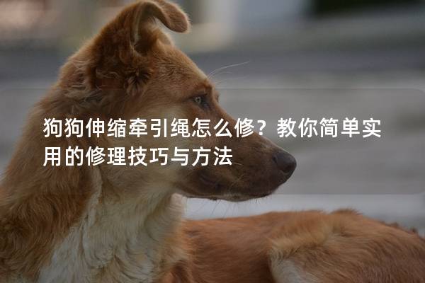 狗狗伸縮牽引繩怎么修？教你簡單實用的修理技巧與方法