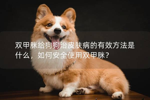 雙甲脒給狗狗治皮膚病的有效方法是什么，如何安全使用雙甲脒？