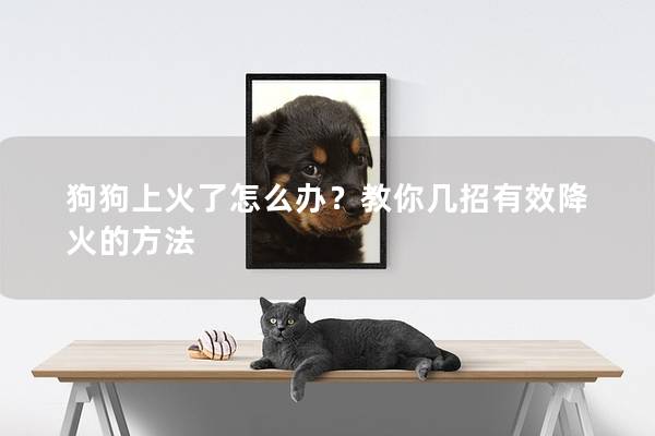 狗狗上火了怎么辦？教你幾招有效降火的方法