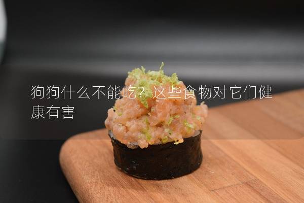 狗狗什么不能吃？這些食物對它們健康有害
