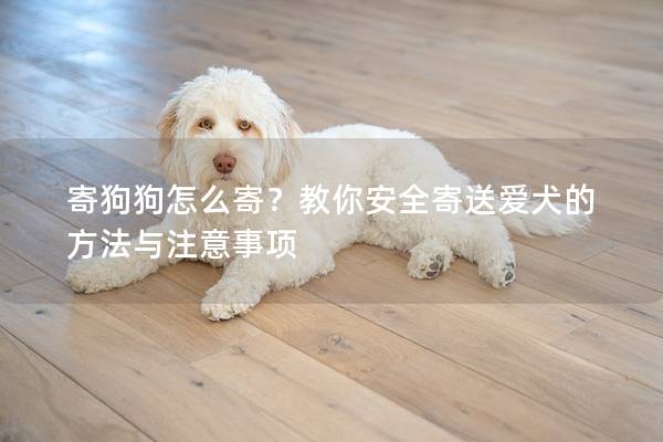 寄狗狗怎么寄？教你安全寄送愛犬的方法與注意事項
