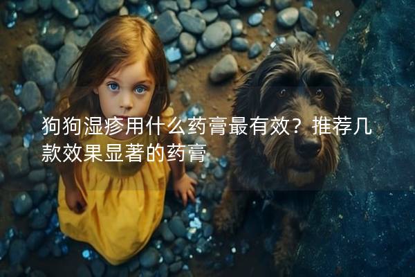 狗狗濕疹用什么藥膏最有效？推薦幾款效果顯著的藥膏