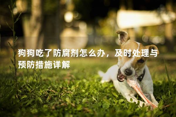 狗狗吃了防腐劑怎么辦，及時(shí)處理與預(yù)防措施詳解