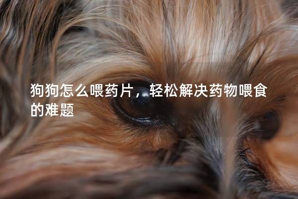 狗狗怎么喂藥片，輕松解決藥物喂食的難題