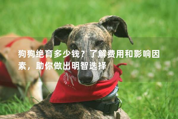 狗狗絕育多少錢？了解費用和影響因素，助你做出明智選擇