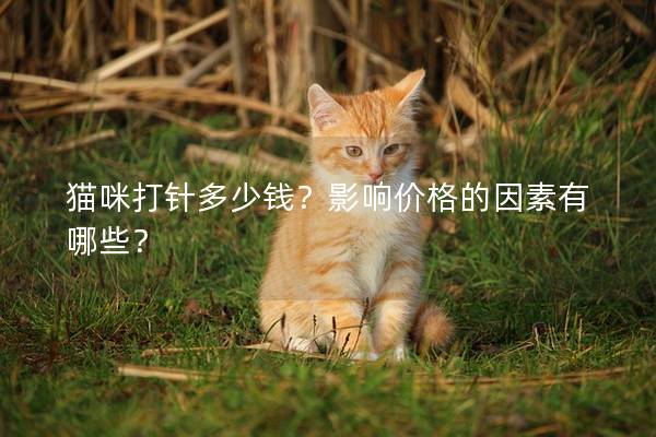 貓咪打針多少錢?影響價(jià)格的因素有哪些? 貓咪打針多少錢?影響價(jià)格的因素有哪些?