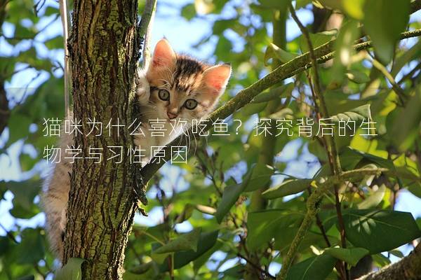 貓咪為什么喜歡吃魚？探究背后的生物學與習性原因