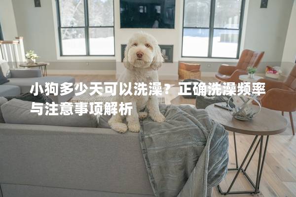 小狗多少天可以洗澡?正確洗澡頻率與注意事項解析 小狗多少天可以洗澡?正確洗澡頻率與注意事項解析