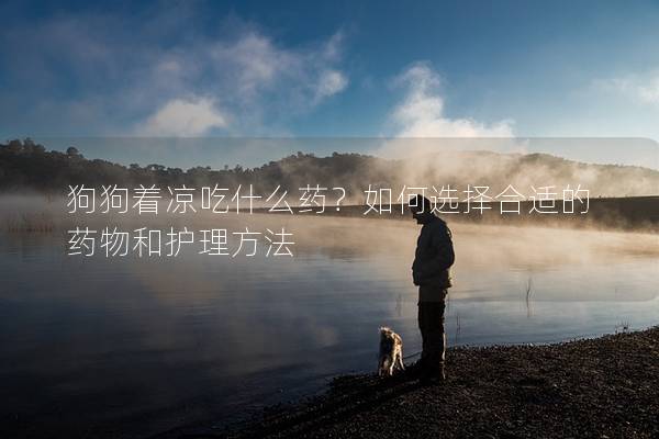 狗狗著涼吃什么藥？如何選擇合適的藥物和護理方法
