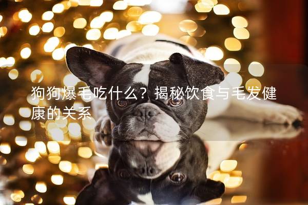 狗狗爆毛吃什么?揭秘飲食與毛發健康的關系 狗狗爆毛吃什么?揭秘飲食與毛發健康的關系