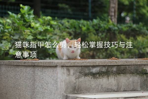 貓咪指甲怎么剪，輕松掌握技巧與注意事項