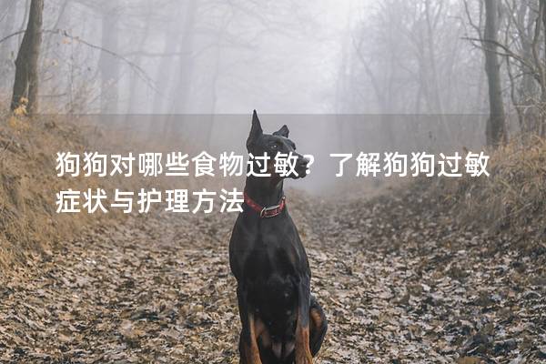 狗狗對哪些食物過敏？了解狗狗過敏癥狀與護(hù)理方法