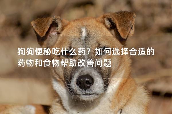 狗狗便秘吃什么藥？如何選擇合適的藥物和食物幫助改善問題