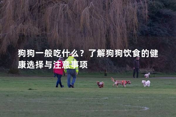 狗狗一般吃什么？了解狗狗飲食的健康選擇與注意事項