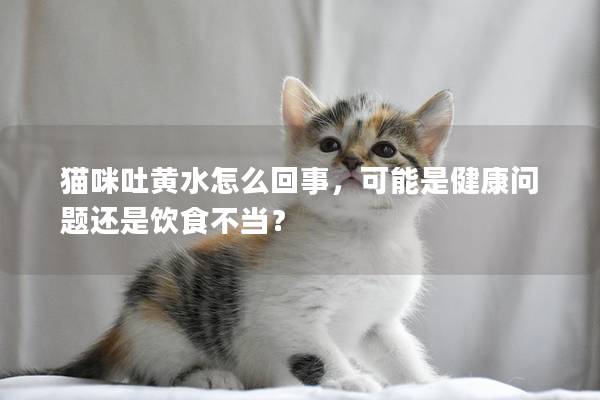 貓咪吐黃水怎么回事，可能是健康問題還是飲食不當？