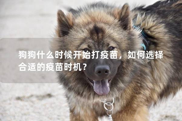 狗狗什么時候開始打疫苗，如何選擇合適的疫苗時機？
