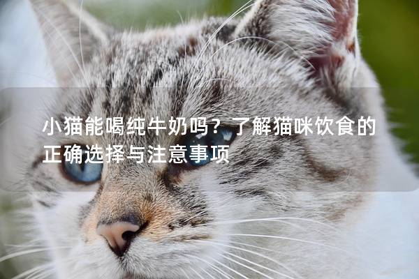 小貓能喝純牛奶嗎？了解貓咪飲食的正確選擇與注意事項