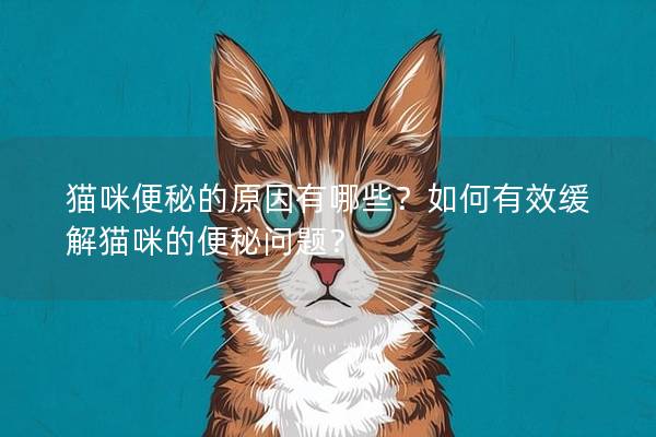 貓咪便秘的原因有哪些？如何有效緩解貓咪的便秘問題？