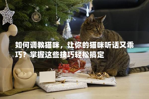 如何調教貓咪，讓你的貓咪聽話又乖巧？掌握這些技巧輕松搞定