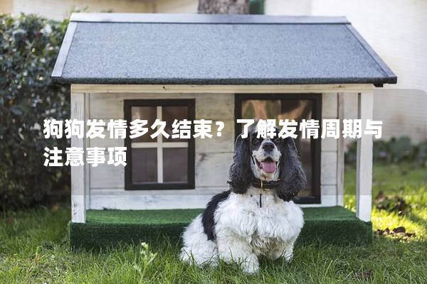 狗狗發(fā)情多久結(jié)束？了解發(fā)情周期與注意事項(xiàng)