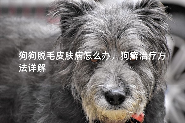 狗狗脫毛皮膚病怎么辦，狗癬治療方法詳解