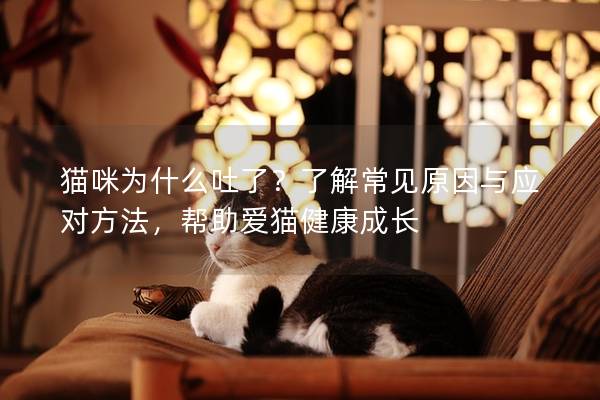 貓咪為什么吐了？了解常見原因與應對方法，幫助愛貓健康成長