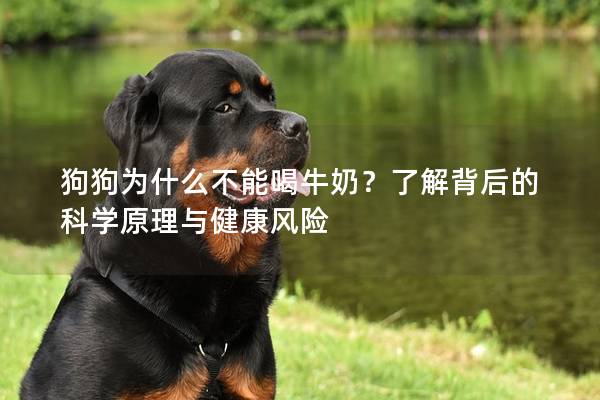 狗狗為什么不能喝牛奶？了解背后的科學原理與健康風險