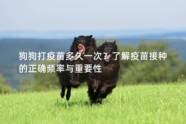 狗狗打疫苗多久一次？了解疫苗接種的正確頻率與重要性