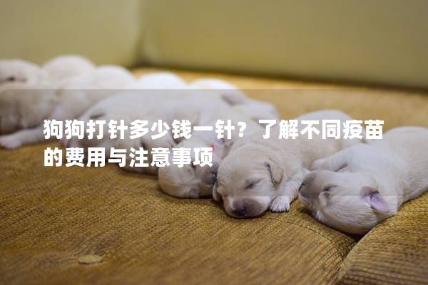 狗狗打針多少錢一針？了解不同疫苗的費用與注意事項