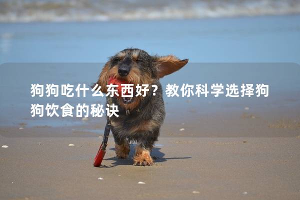 狗狗吃什么東西好?教你科學選擇狗狗飲食的秘訣 狗狗吃什么東西好?教你科學選擇狗狗飲食的秘訣