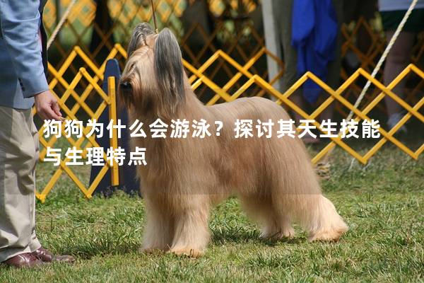 狗狗為什么會游泳？探討其天生技能與生理特點
