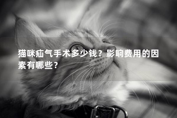 貓咪疝氣手術(shù)多少錢？影響費(fèi)用的因素有哪些？